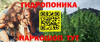 хмурый Малоярославец